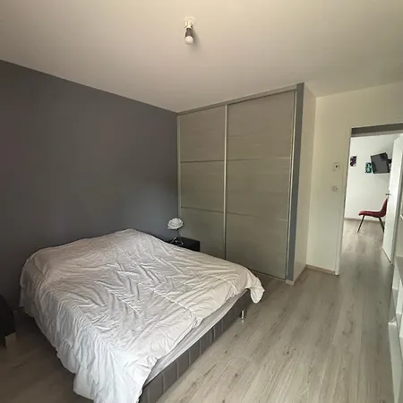Maison Familiale A Avec Piscine Et Parking - Fr-1-319-617 Feriehus