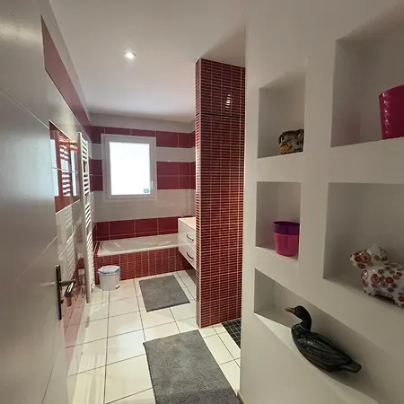 Maison Familiale A Avec Piscine Et Parking - Fr-1-319-617 Biscarrosse