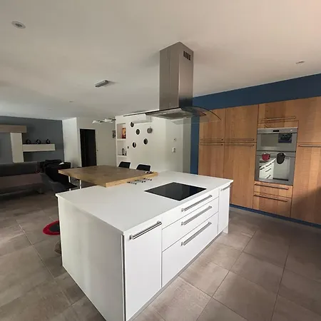 Maison Familiale A Avec Piscine Et Parking - Fr-1-319-617