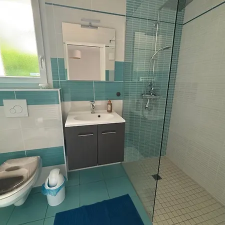 Maison Familiale A Avec Piscine Et Parking - Fr-1-319-617 Biscarrosse
